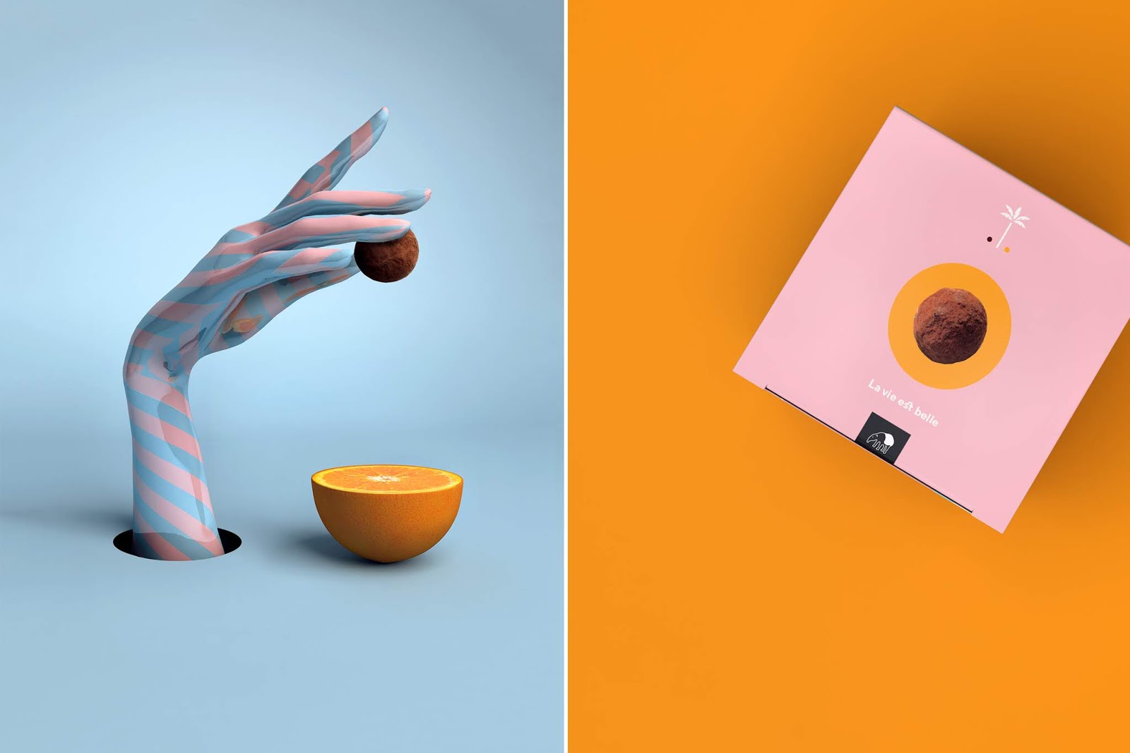 棕榈树上掉下一颗松露巧克力 有趣的联想(图5) 棕榈树上掉下一颗松露巧克力 有趣的联想(图5)