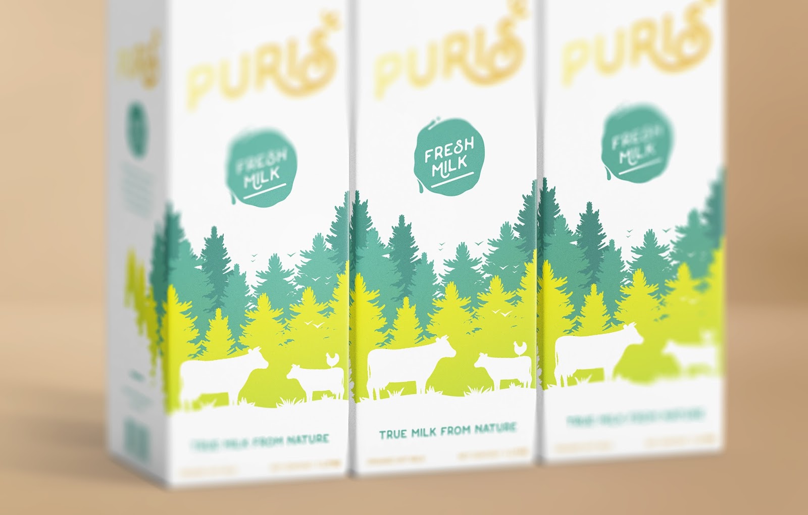 烟台牛奶包装设计(图4) 烟台牛奶包装设计(图4)