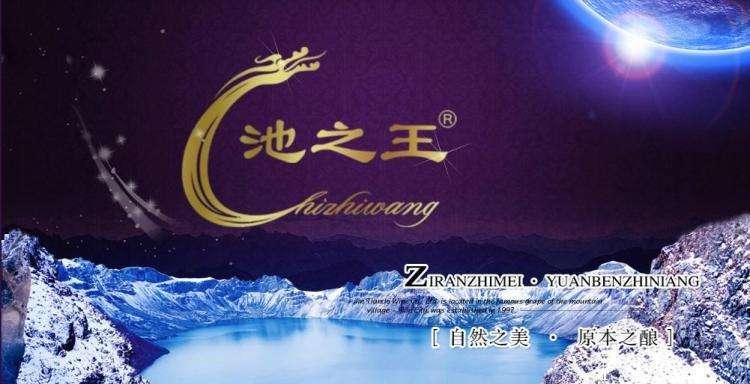 池之王葡萄酒 池之王品牌logo与食品包装设计欣赏(图2)