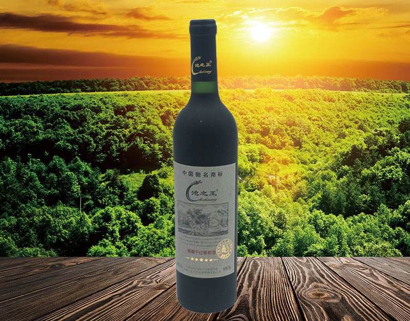 池之王葡萄酒 池之王品牌logo与食品包装设计欣赏(图3)